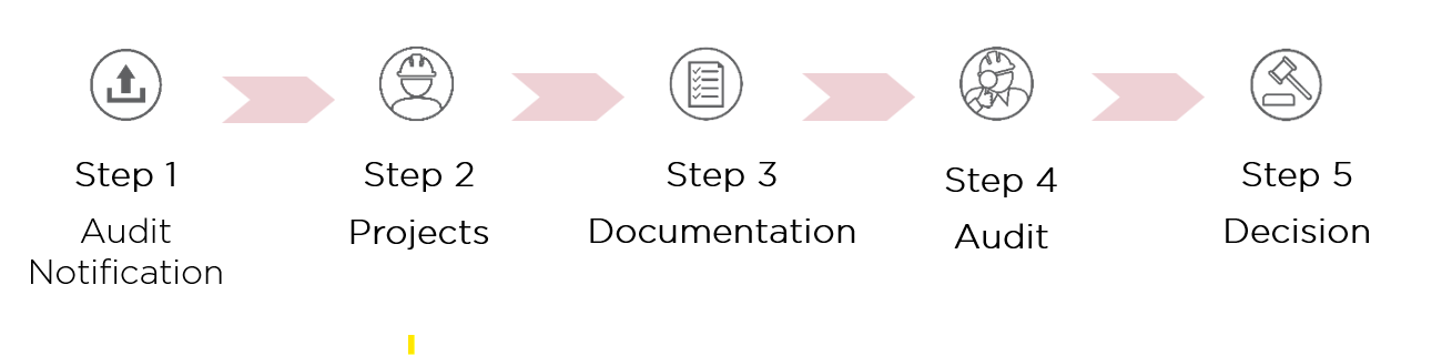 icons showing 5 steps in audit process